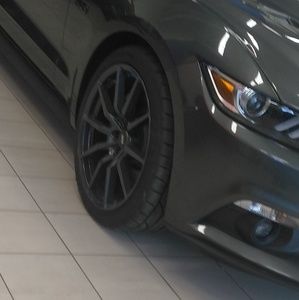 Meet your Posher, Fred